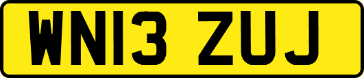 WN13ZUJ
