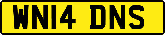 WN14DNS