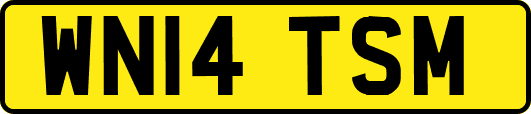 WN14TSM
