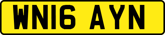 WN16AYN