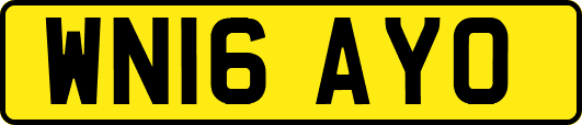 WN16AYO