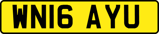 WN16AYU