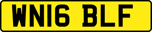 WN16BLF