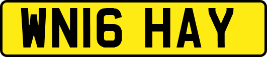WN16HAY