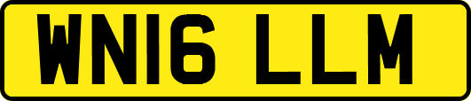 WN16LLM