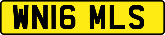 WN16MLS
