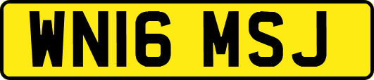 WN16MSJ