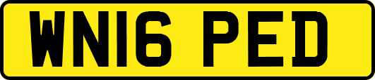 WN16PED
