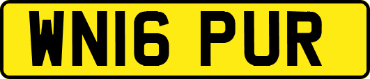 WN16PUR
