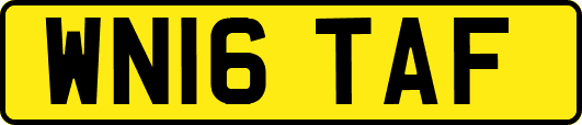 WN16TAF
