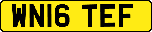 WN16TEF