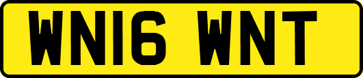 WN16WNT