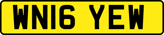 WN16YEW