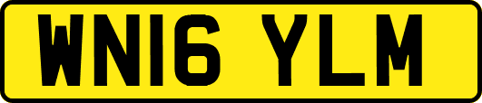 WN16YLM