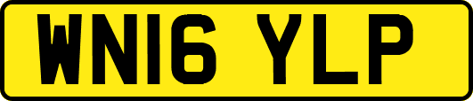 WN16YLP