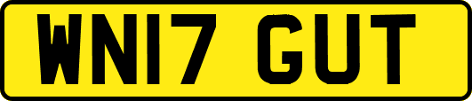 WN17GUT