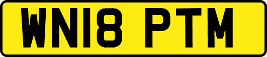 WN18PTM