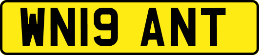 WN19ANT