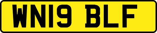 WN19BLF