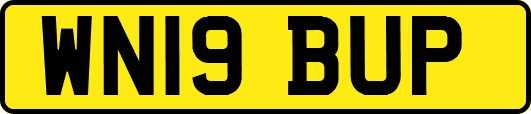 WN19BUP
