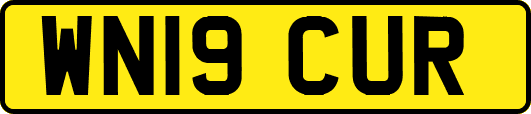 WN19CUR