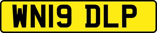 WN19DLP