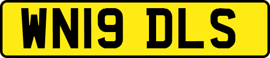 WN19DLS