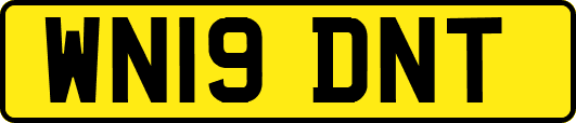 WN19DNT