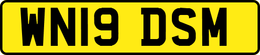 WN19DSM