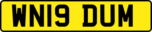WN19DUM