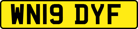 WN19DYF