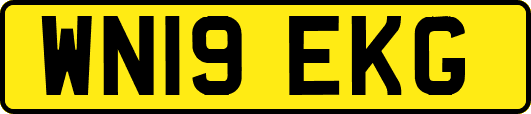 WN19EKG