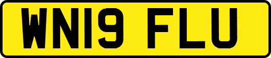WN19FLU