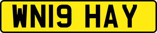 WN19HAY