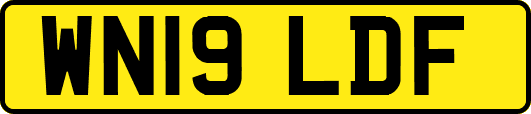 WN19LDF