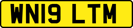 WN19LTM
