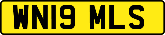 WN19MLS