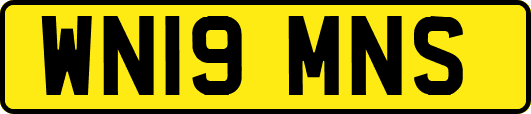 WN19MNS