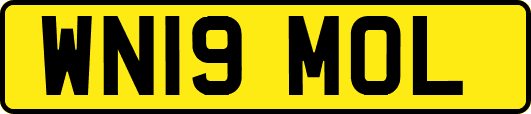 WN19MOL