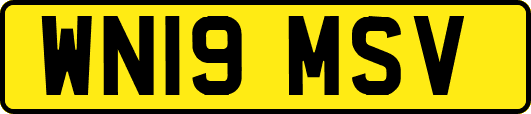 WN19MSV