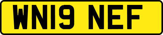 WN19NEF