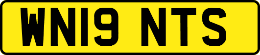 WN19NTS