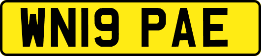 WN19PAE
