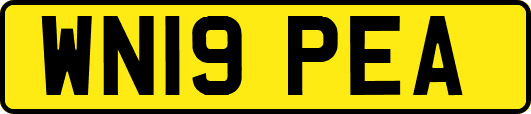 WN19PEA