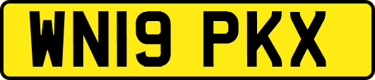 WN19PKX