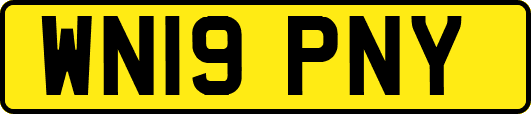 WN19PNY