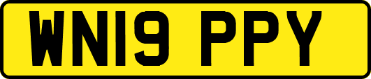 WN19PPY
