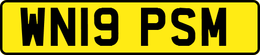 WN19PSM