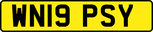 WN19PSY