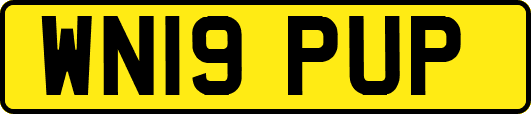 WN19PUP